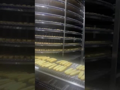 China Youtiao máquina de moldagem de bastão frito para fazer Youtiao congelado