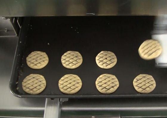 Máquina da pintura do ovo de HONGXIN 1000w para bolos do abacaxi